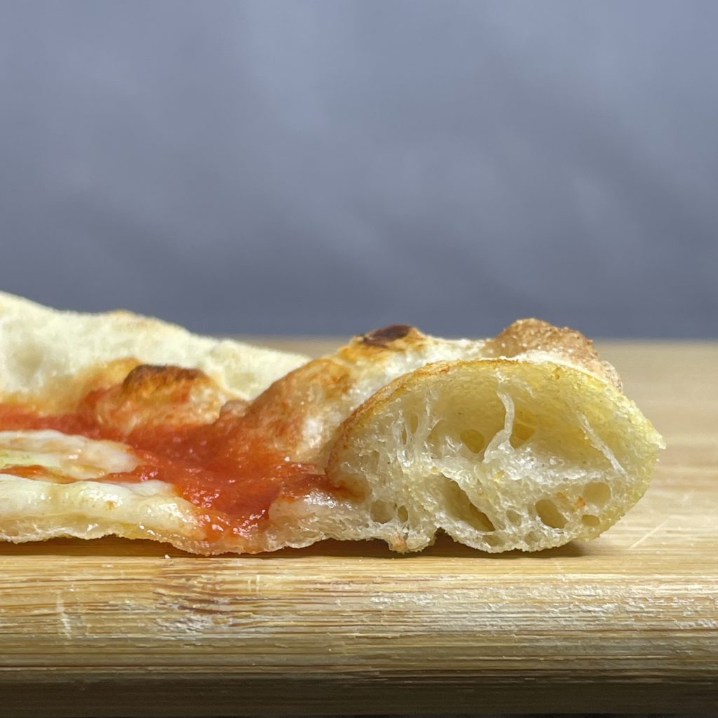 Pizza crust at 1-day fermentation